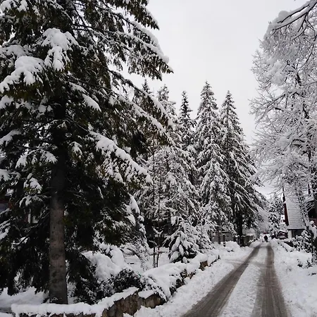 Premium Select Tatry Netflix Hbo Canal Free Apartmán *