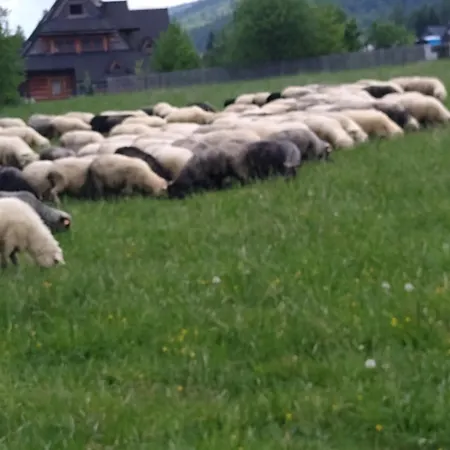 Appartement Premium Select Tatry *