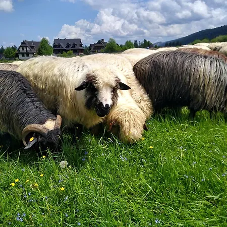 Premium Select Tatry *