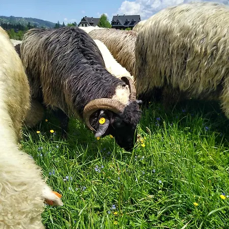 Appartement Premium Select Tatry