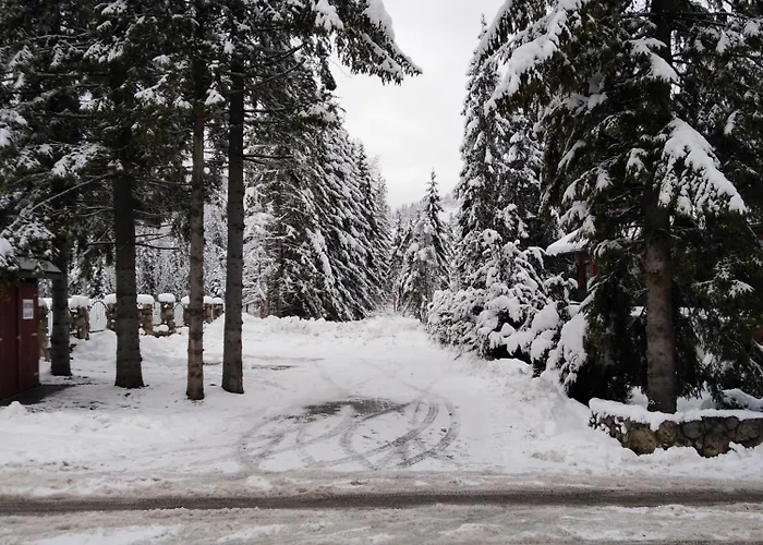 Premium Select Tatry Netflix Hbo Canal Free *