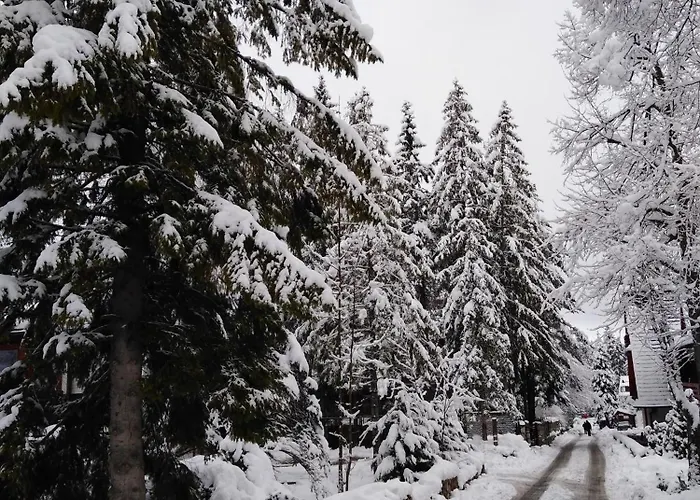 Premium Select Tatry Netflix Hbo Canal Free Apartamento *