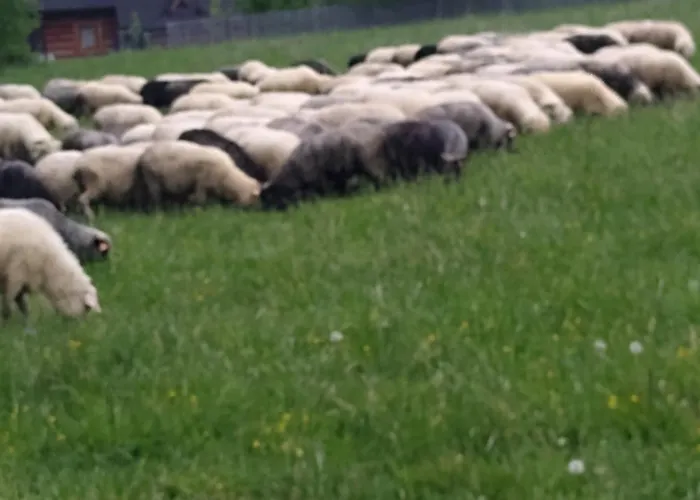 Apartamento Premium Select Tatry Netflix Hbo Canal Free *