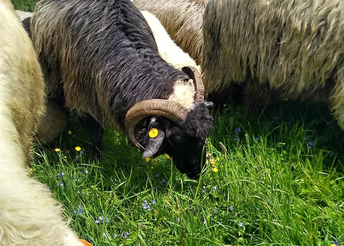 Apartamento Premium Select Tatry Netflix Hbo Canal Free